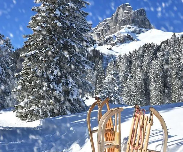 Allod Park Haus C 306 By Interhome Davos