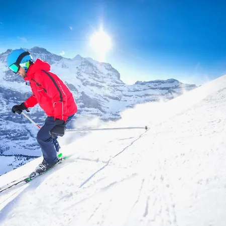 Allod Park Haus C 306 By Interhome Davos