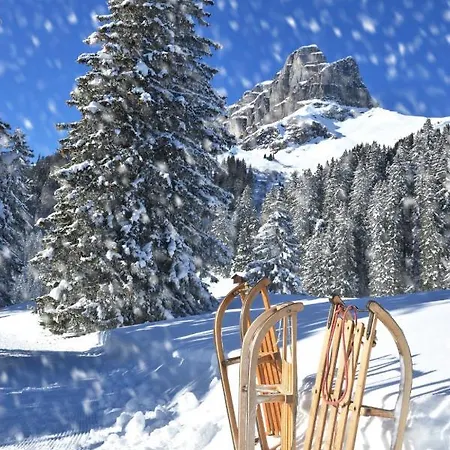 Allod Park Haus C 306 By Interhome Davos